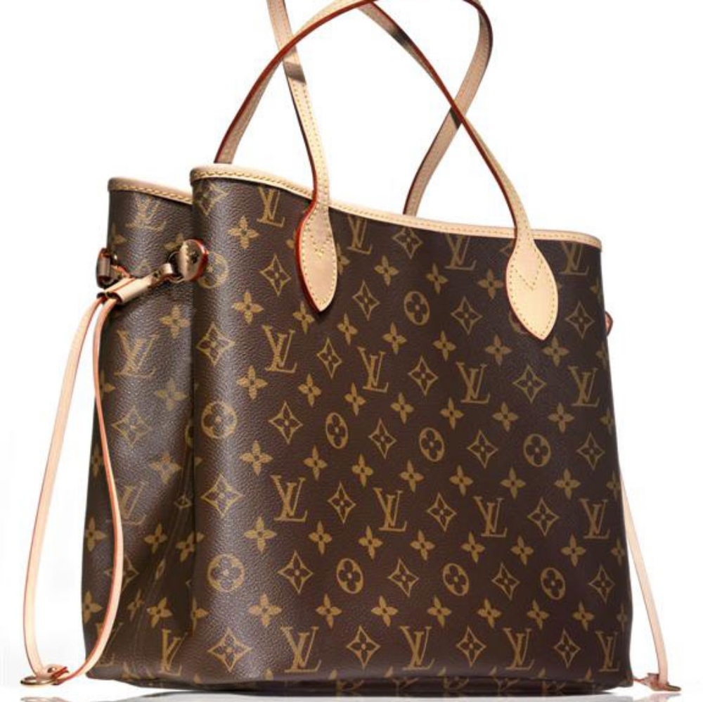 COPY - Louis Vuitton purse